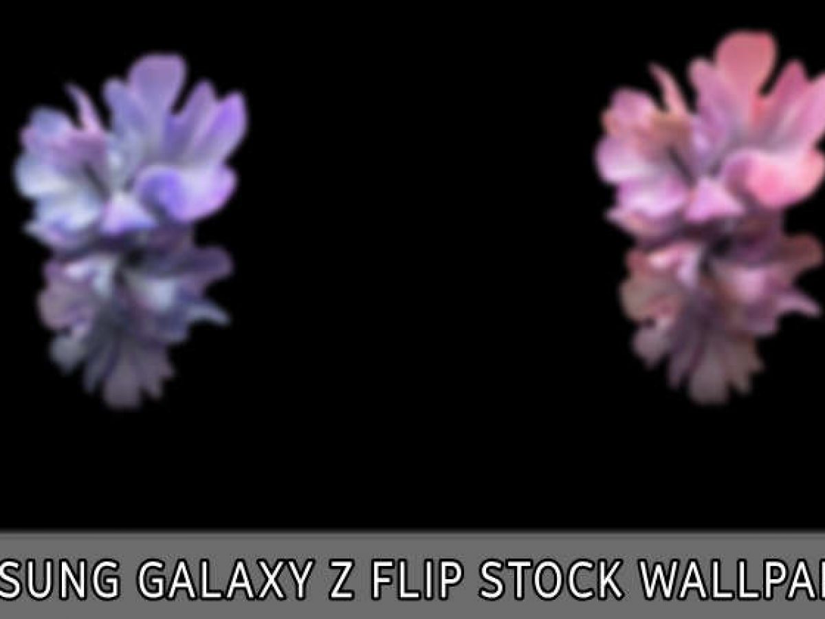Tải bộ hình nền mới của Galaxy Z Flip4 và Galaxy Z Fold4