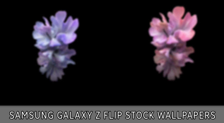 Chia sẻ hình nền gốc của Samsung Galaxy Z Flip tĩnh và động