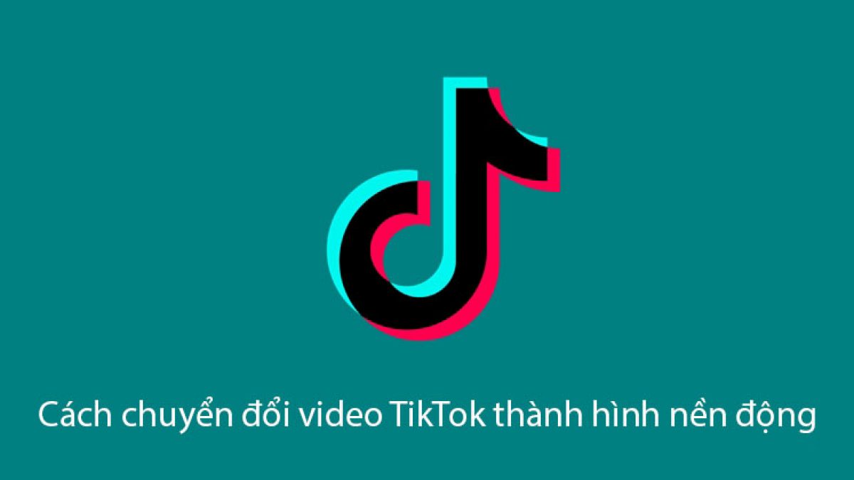 Cách dùng video TikTok làm hình nền điện thoại đơn giản nhất